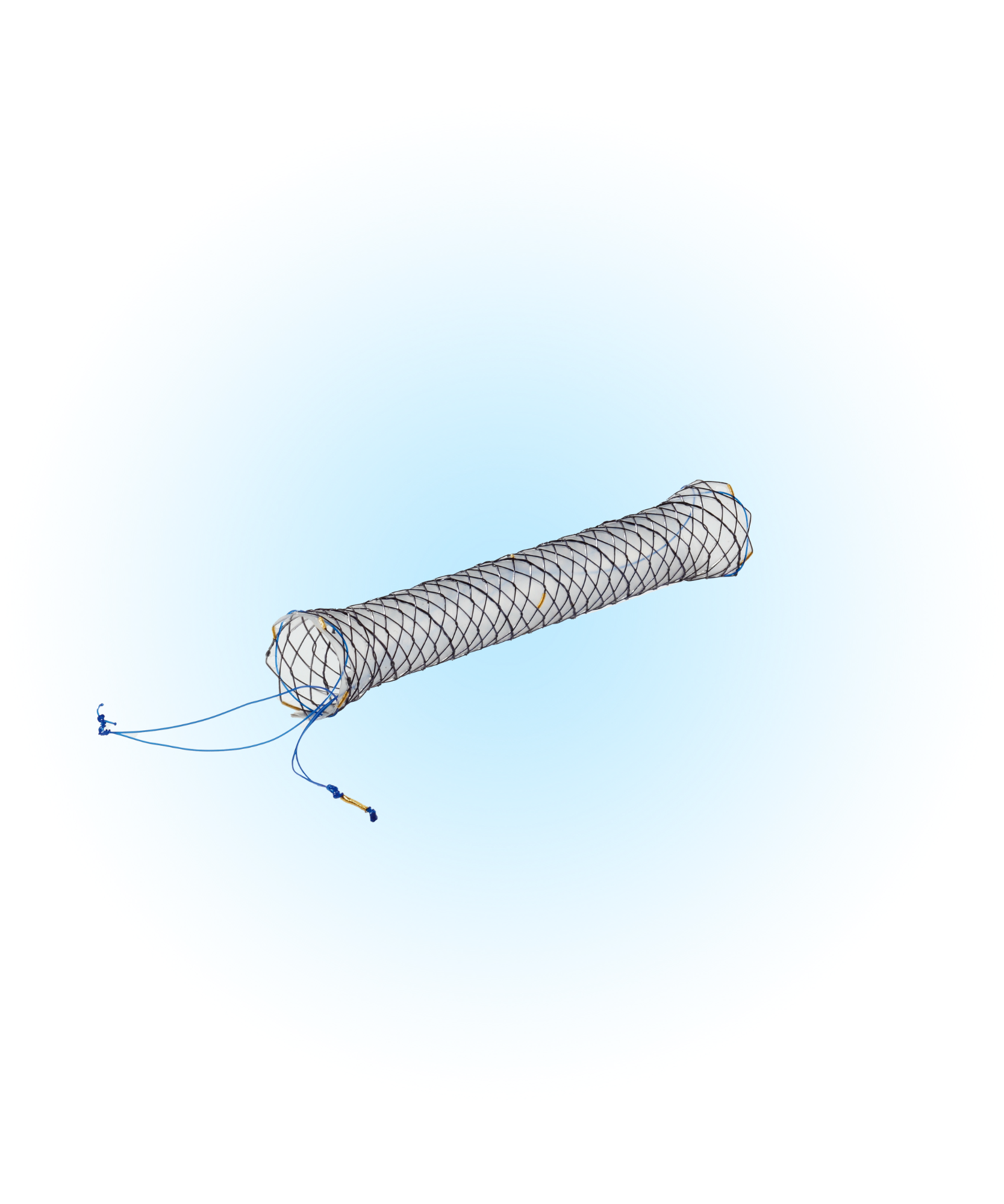 BCBC Biliyer Kaplı İpli Stent