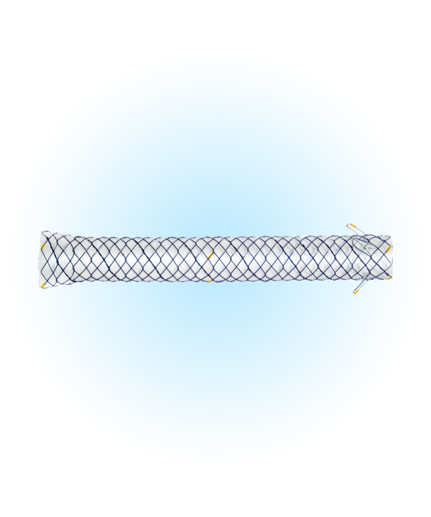 BCS Biliyer Kaplı Flapli Stent