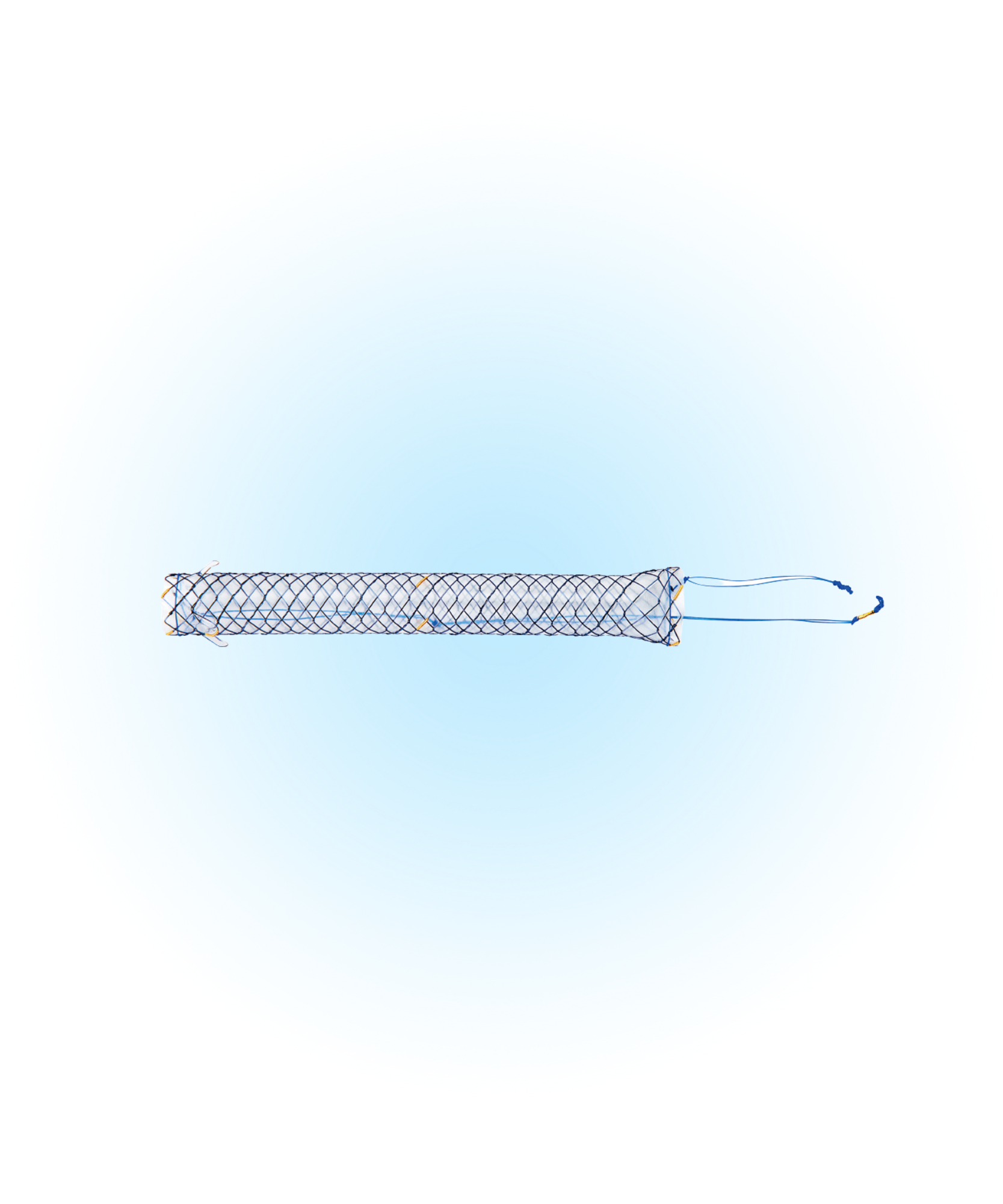 BCT Biliyer Kaplı Flapli Stent