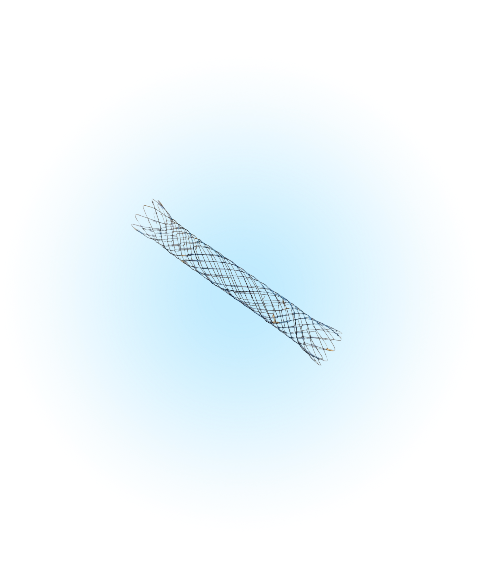 BNY Biliyer Y Stent