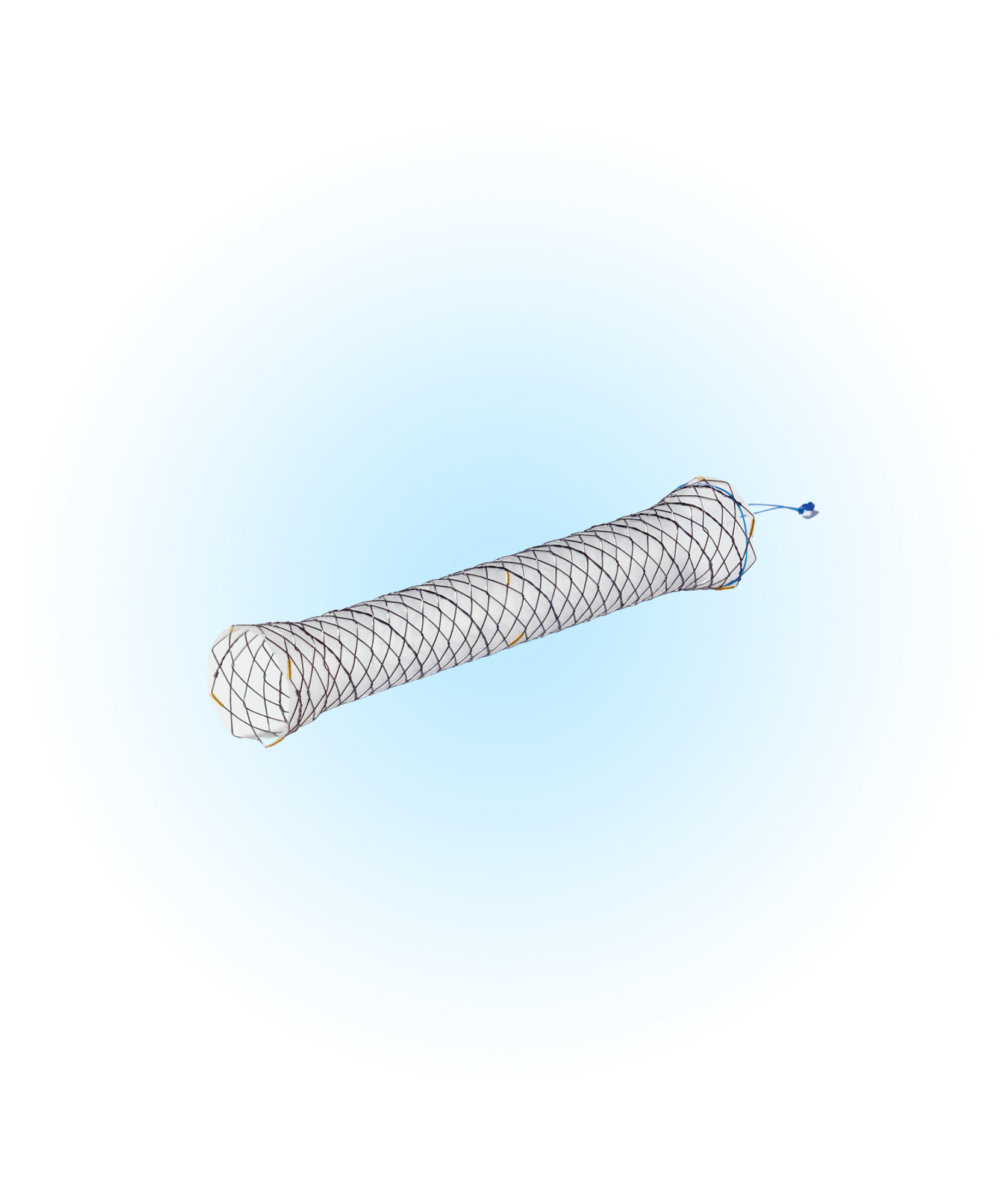 SHCL Biliyer Kaplı İpli Stent
