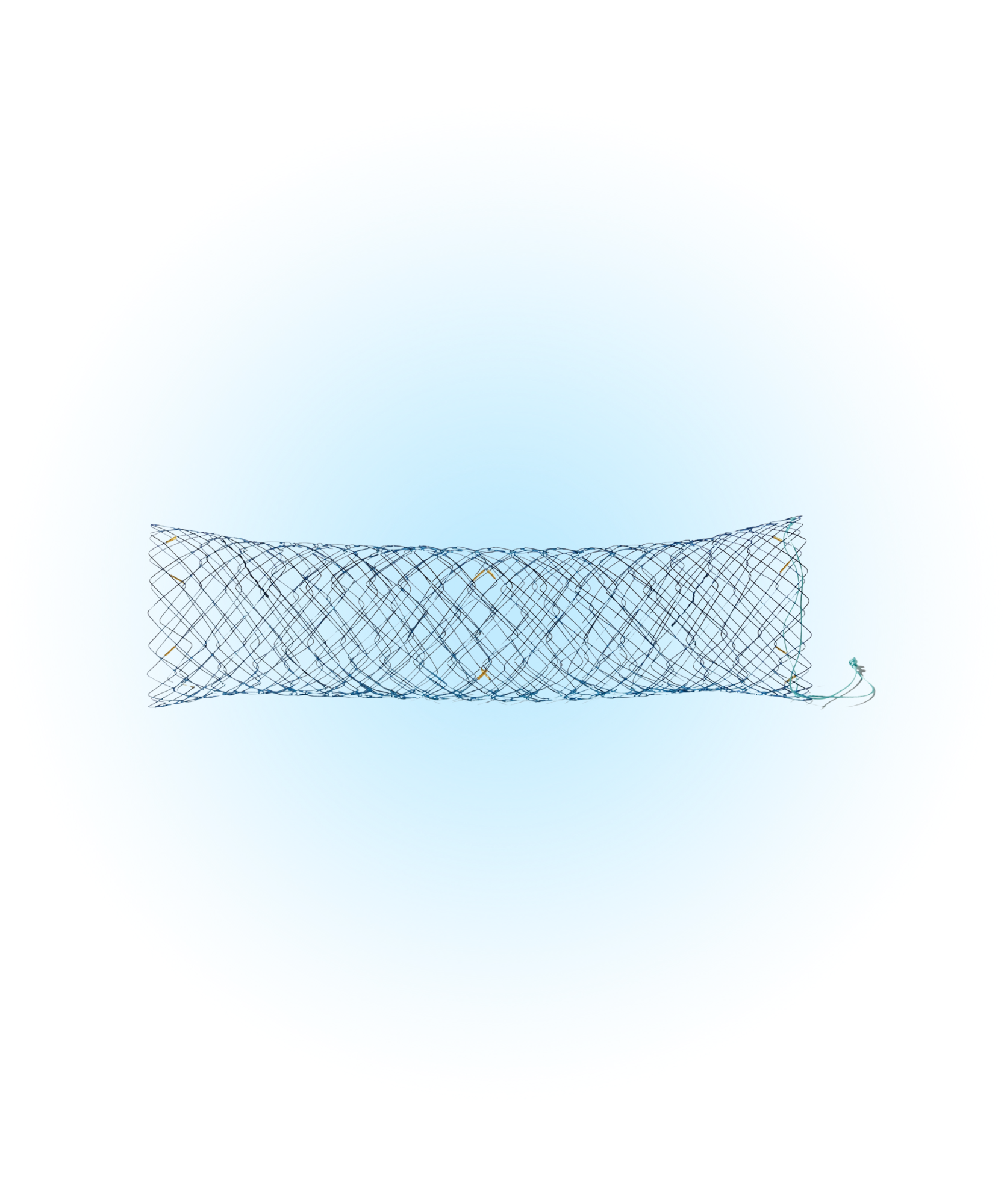 DNZL Duodenum Kapsız Stent